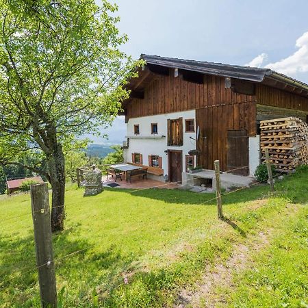 Almliesl Abte-395 Villa Abtenau Kültér fotó